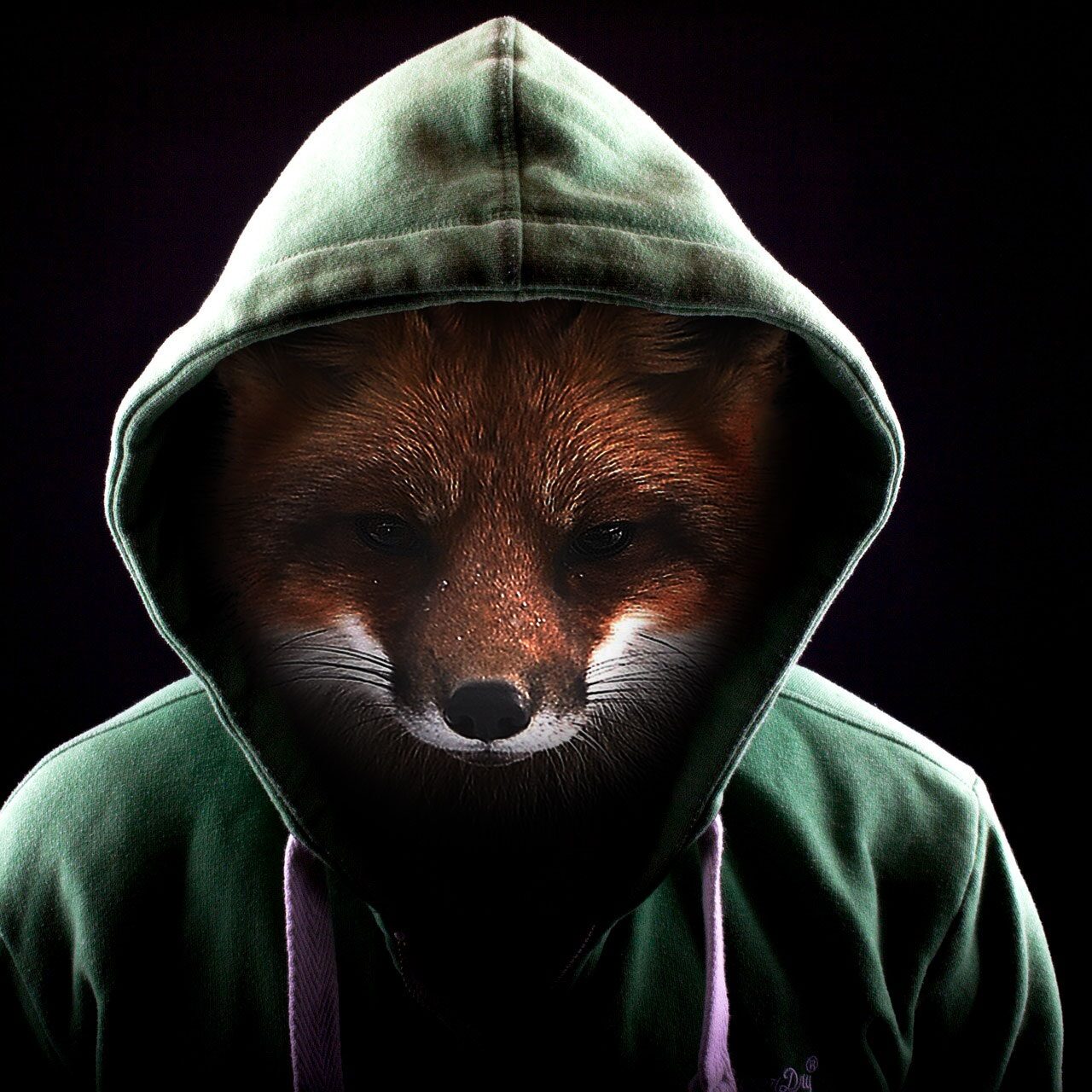 fox-3026187